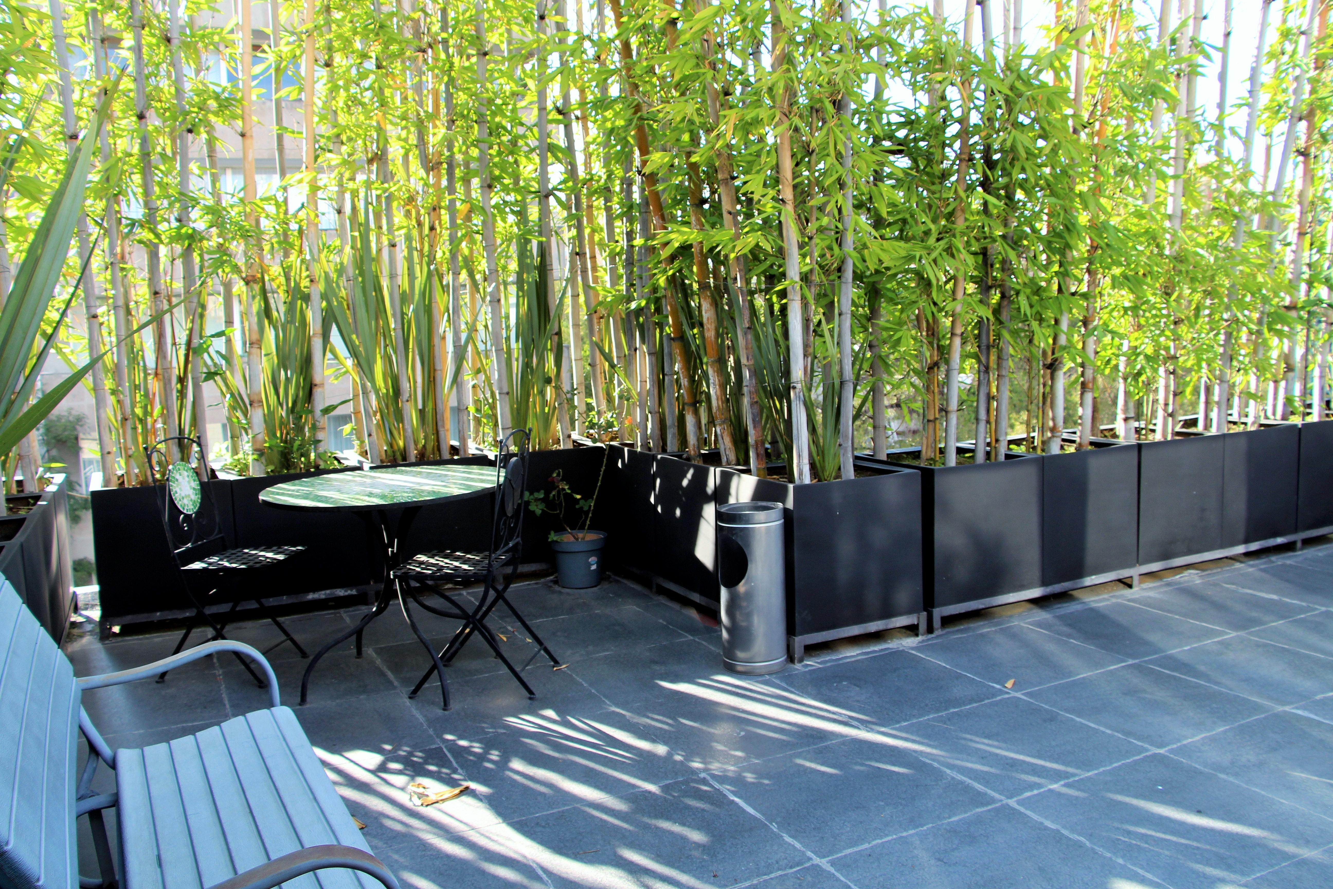 Residence L' Heritage Hipolito Taine By Bluebay Mexico City Ngoại thất bức ảnh
